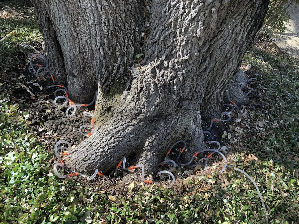 Detailed Shrub and Hedge Trimming job site in Gilson